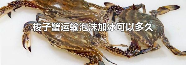 梭子蟹运输泡沫加冰可以多久