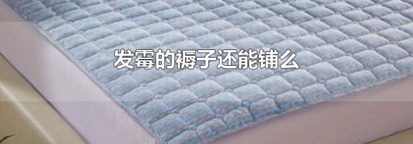 发霉的褥子还能铺么