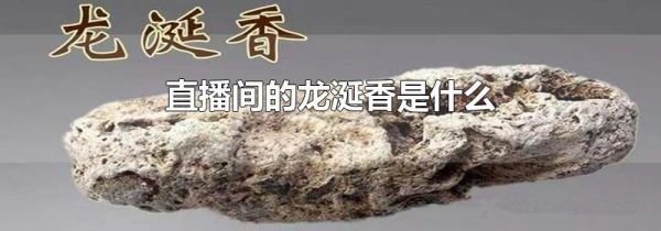 直播间的龙涎香是什么