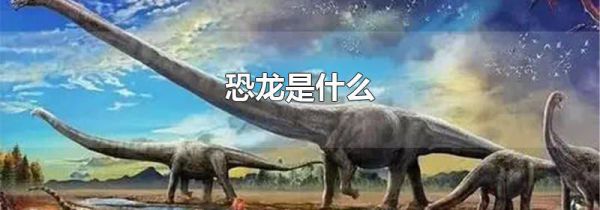 恐龙是什么