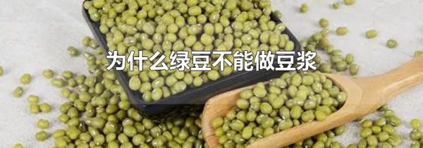 为什么绿豆不能做豆浆