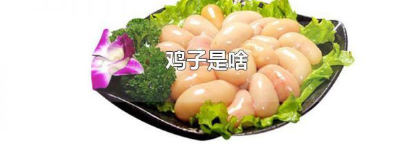 鸡子是啥