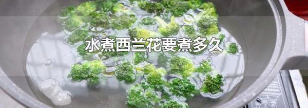 水煮西兰花要煮多久