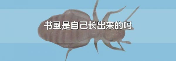 书虱是自己长出来的吗