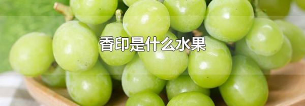 香印是什么水果