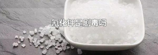氰化钾是剧毒吗