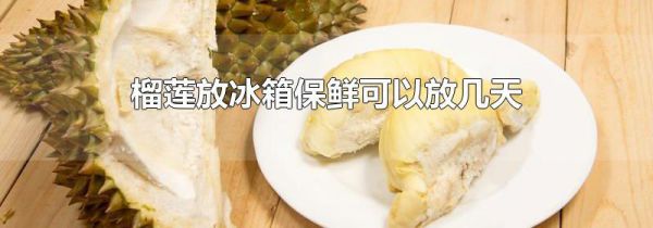 榴莲放冰箱保鲜可以放几天