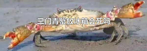三门青蟹放冰箱会死吗
