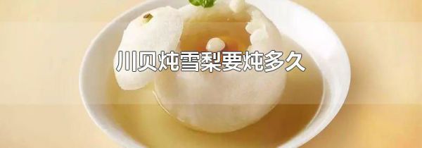 川贝炖雪梨要炖多久