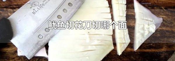 鱿鱼切花刀切哪个面