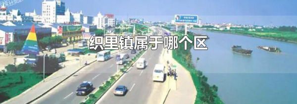 织里镇属于哪个区
