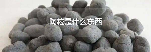 陶粒是什么东西