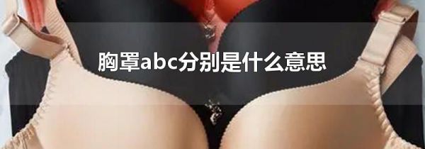 胸罩abc分别是什么意思