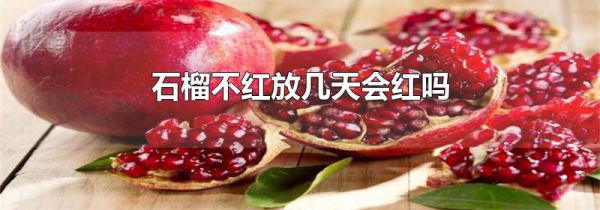 石榴不红放几天会红吗
