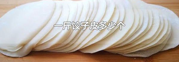 一斤饺子皮多少个