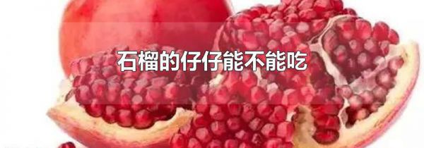 石榴的仔仔能不能吃