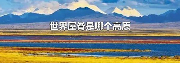 世界屋脊是哪个高原