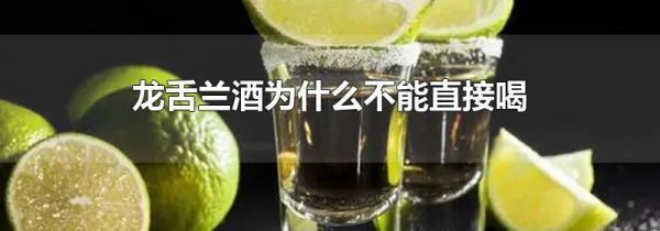 龙舌兰酒为什么不能直接喝