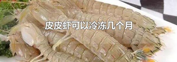 皮皮虾可以冷冻几个月