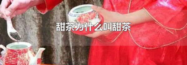 甜茶为什么叫甜茶