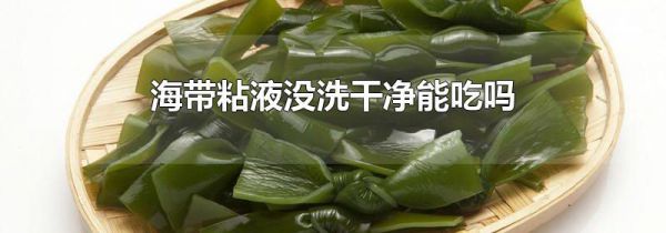 海带粘液没洗干净能吃吗