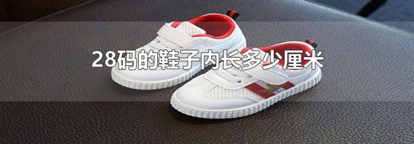 28码的鞋子内长多少厘米
