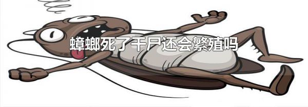 蟑螂死了干尸还会繁殖吗