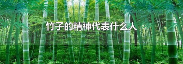 竹子的精神代表什么人