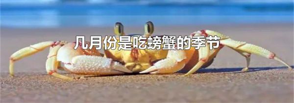 几月份是吃螃蟹的季节