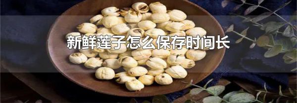 新鲜莲子怎么保存时间长