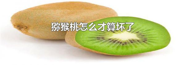 猕猴桃怎么才算坏了