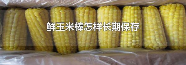 鲜玉米棒怎样长期保存