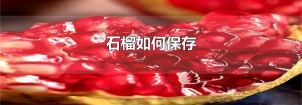 石榴如何保存