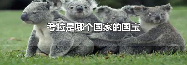 考拉是哪个国家的国宝