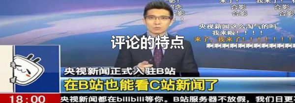 评论的特点