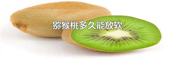 猕猴桃多久能放软
