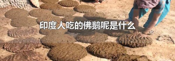 印度人吃的佛鹅呢是什么