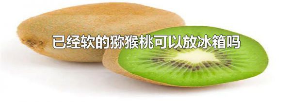 已经软的猕猴桃可以放冰箱吗