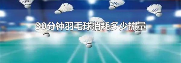 30分钟羽毛球消耗多少热量