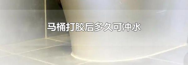 马桶打胶后多久可冲水