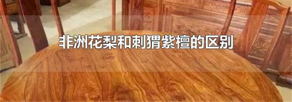 非洲花梨和刺猬紫檀的区别