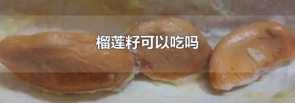 榴莲籽可以吃吗