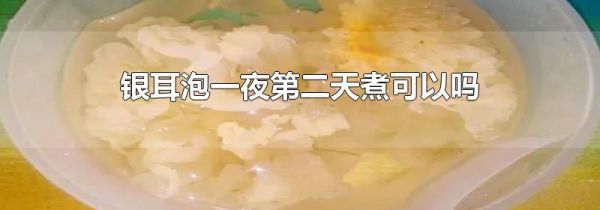 银耳泡一夜第二天煮可以吗