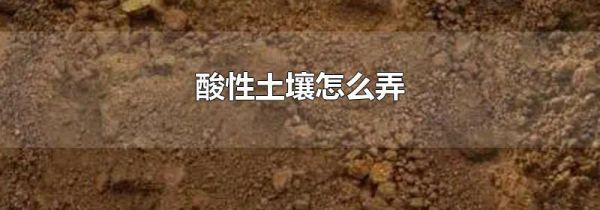 酸性土壤怎么弄