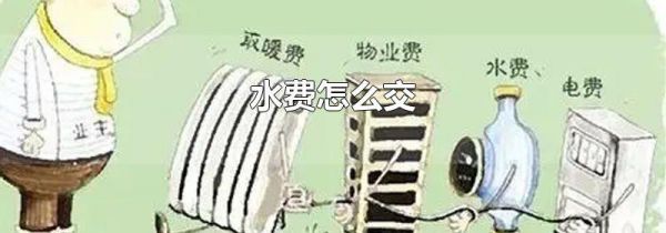 水费怎么交