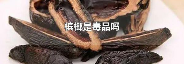 槟榔是毒品吗