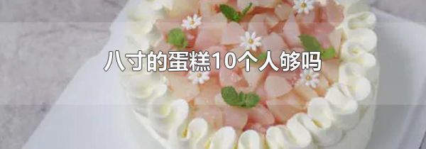 八寸的蛋糕10个人够吗