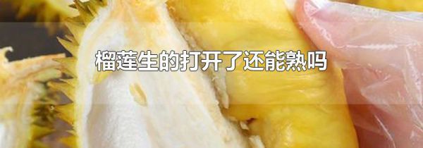榴莲生的打开了还能熟吗