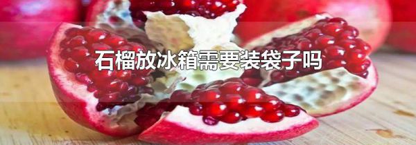石榴放冰箱需要装袋子吗