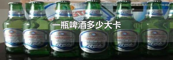 一瓶啤酒多少大卡